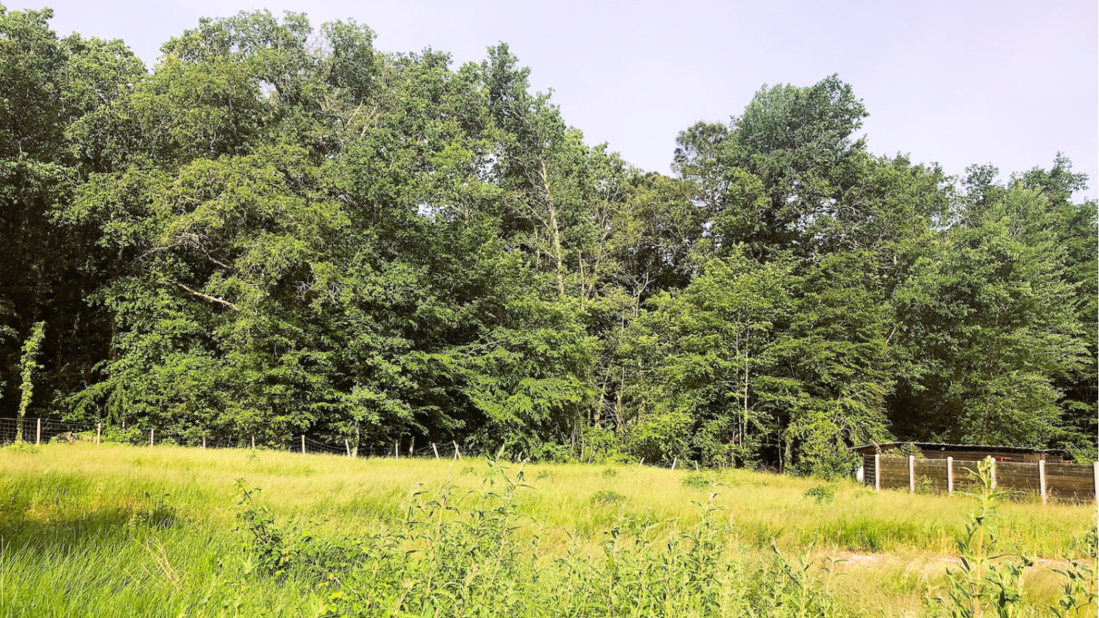 Terrain constructible de 746m2 à Le Temple