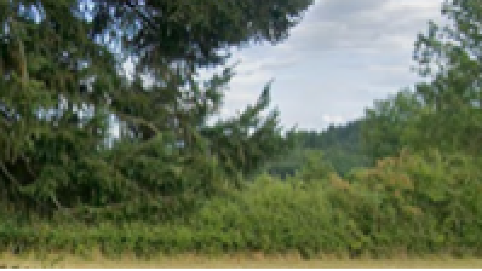 Terrain constructible de 2510m2 à Rouvray