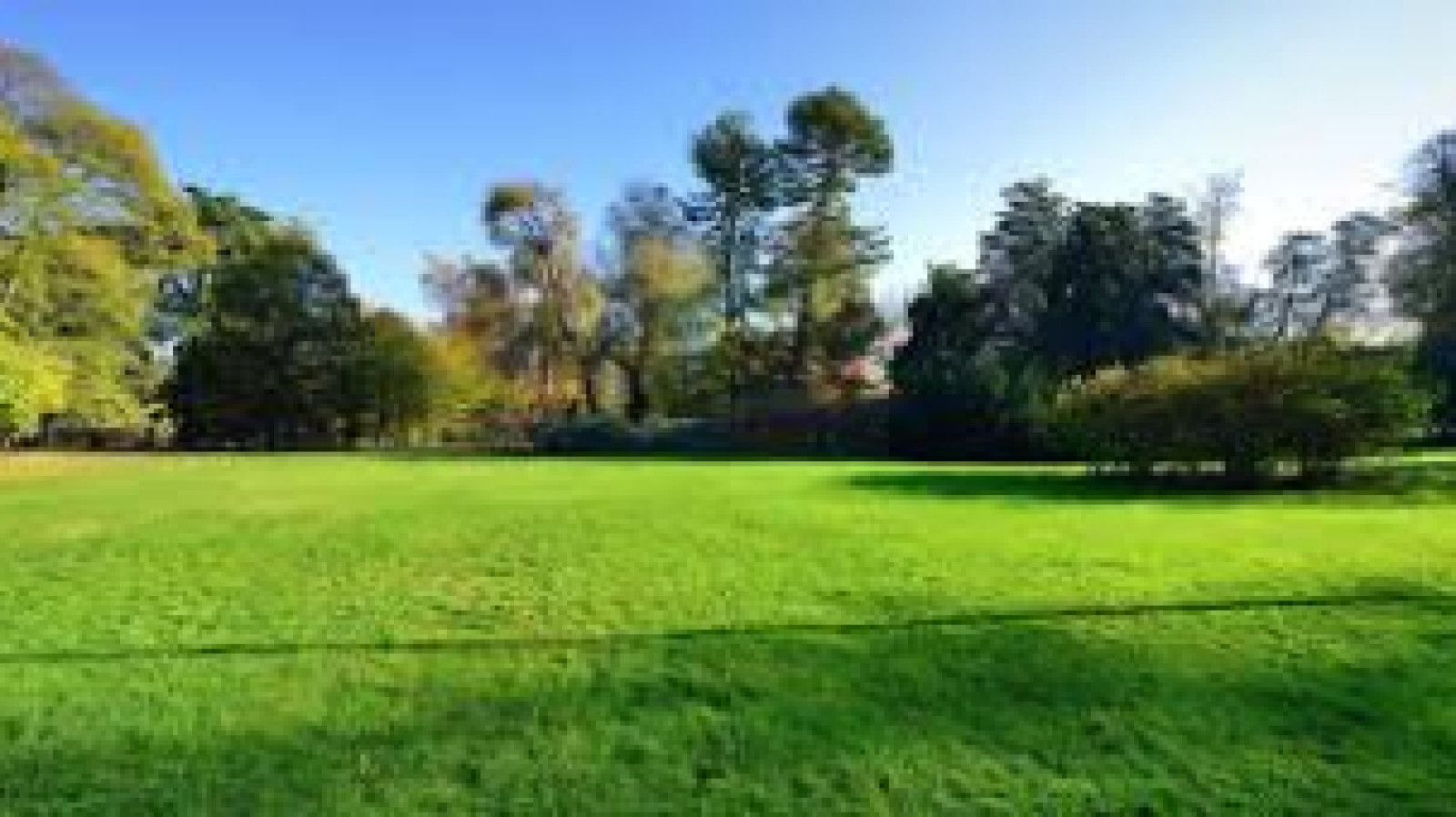 Terrain constructible de 309m2 à Colpo