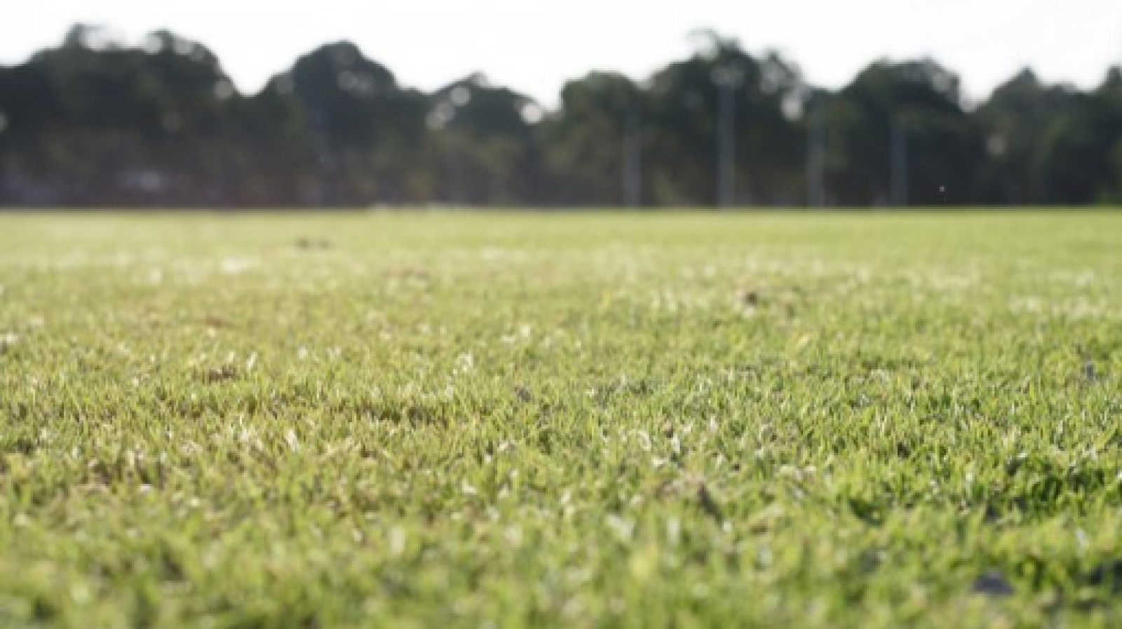 Terrain constructible de 426m2 à Nouzilly