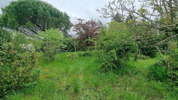 VINEUIL SCI DIBO.JPG