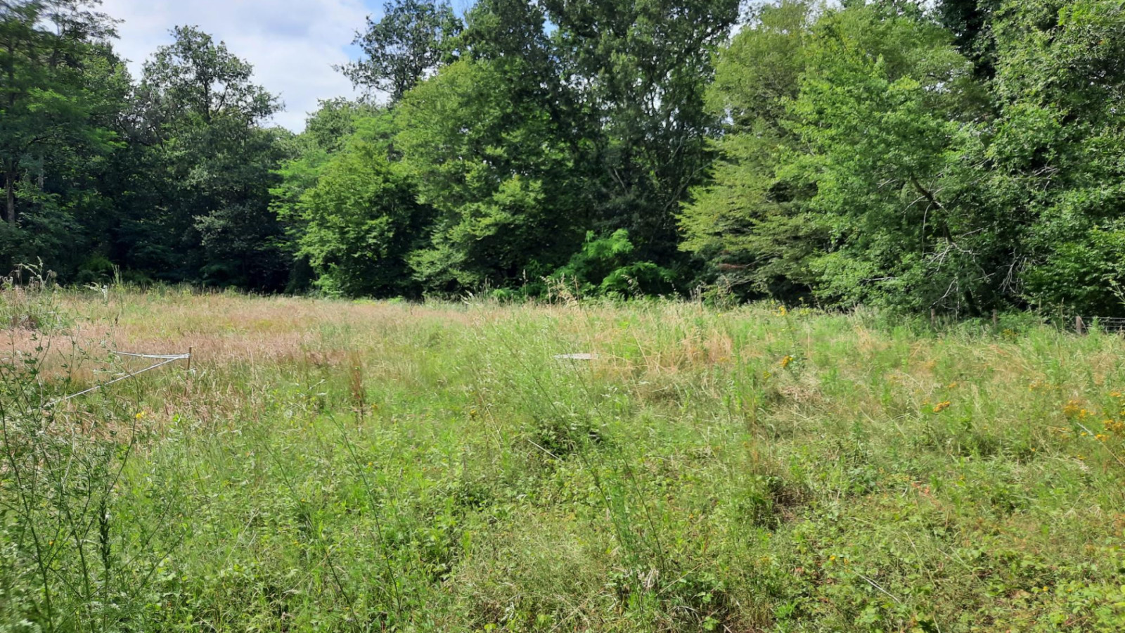 Terrain constructible de 504m2 à Saucats