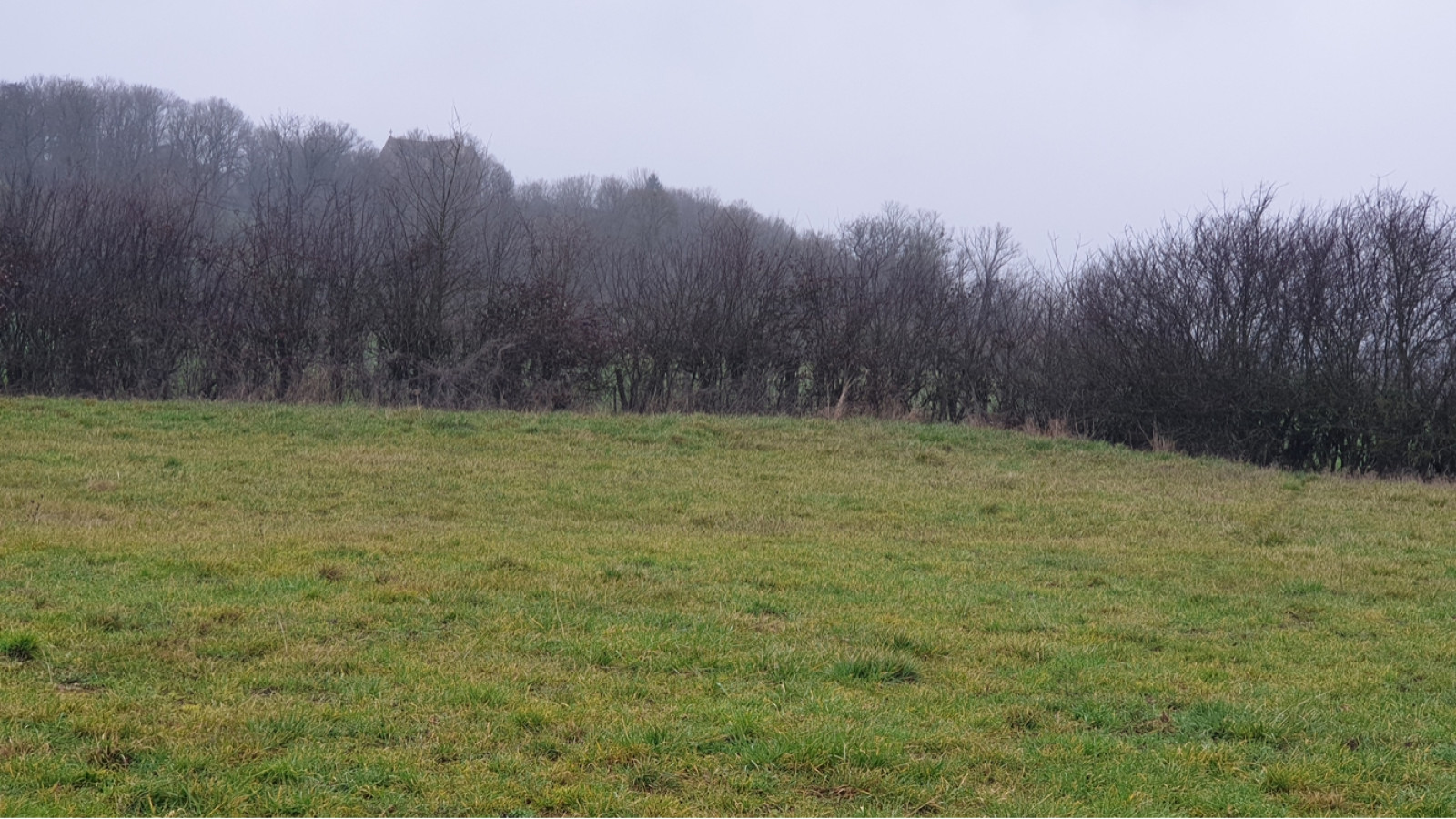 Terrain constructible de 1935m2 à Montréal