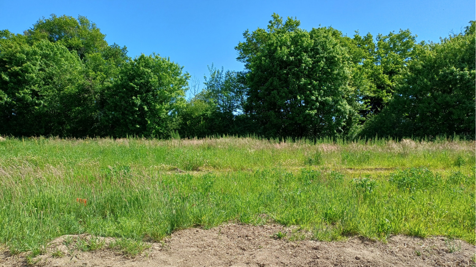 Terrain constructible de 535m2 à Brem-sur-Mer