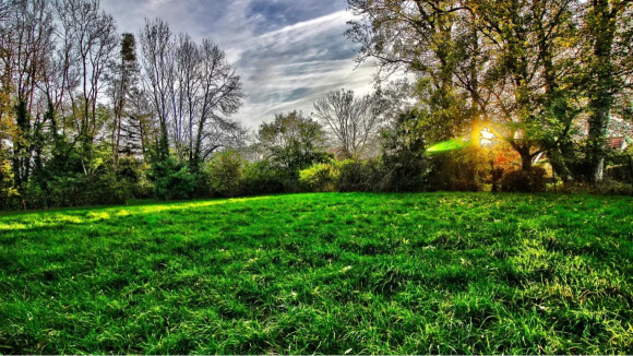 Terrain Sombernon 2.jpg