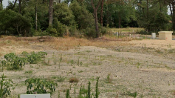 Capture d’écran 2024-11-27 150635.png