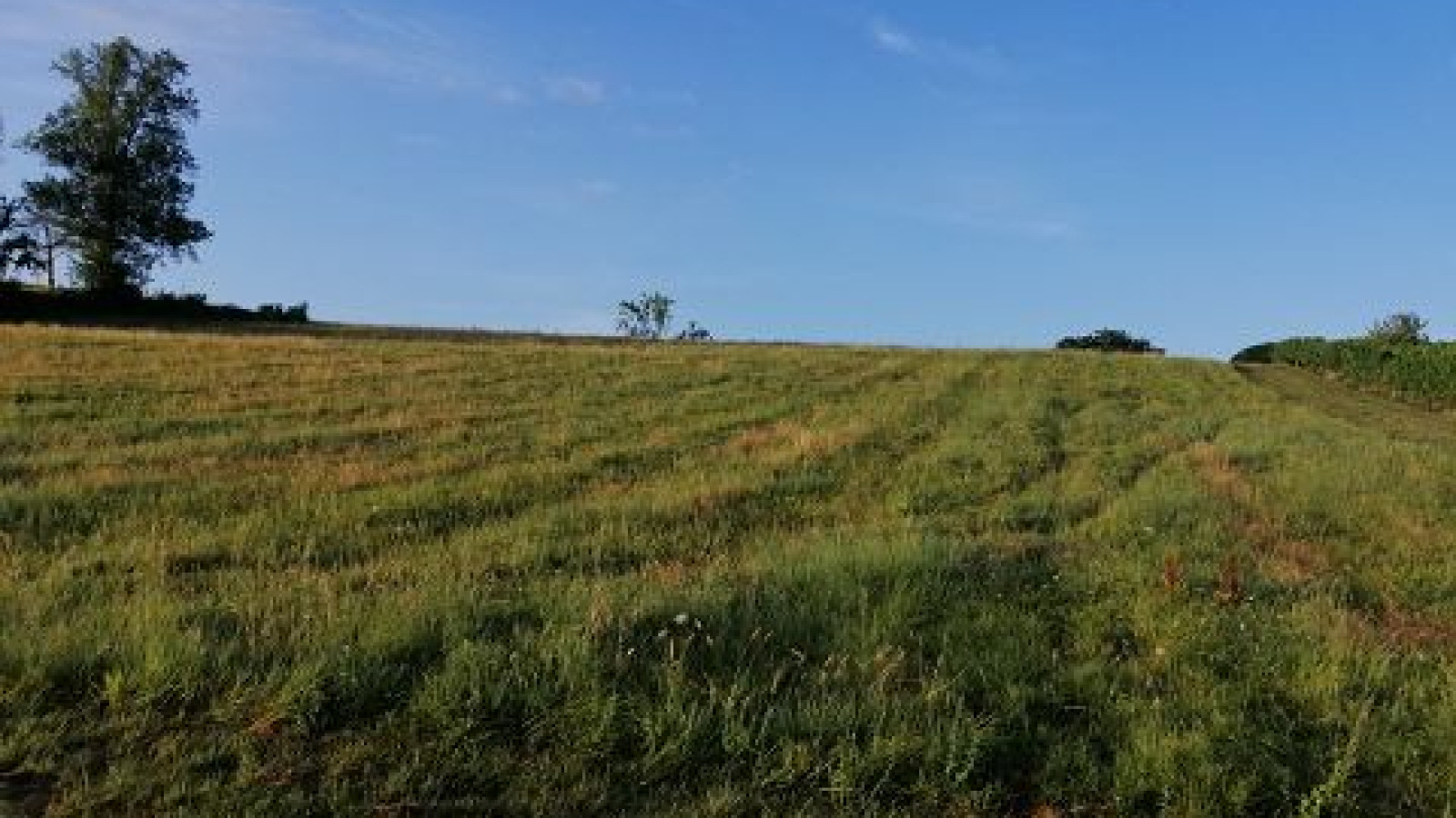 Terrain constructible de 1010m2 à Bouliac