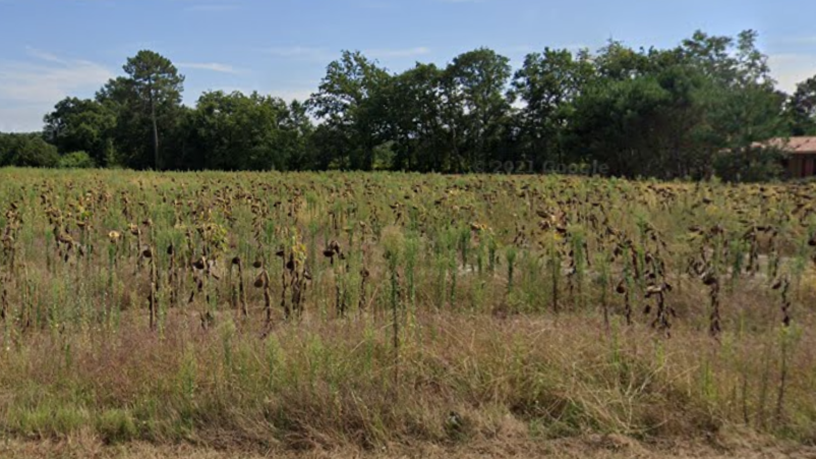 Terrain constructible de 946m2 à Seignosse