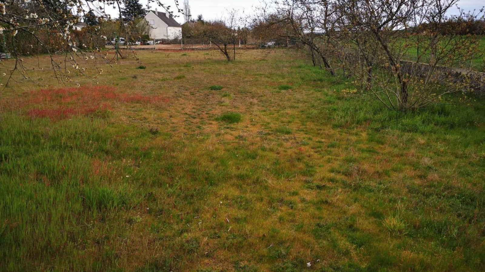 Terrain constructible de 600m2 à Beaulieu-lès-Loches