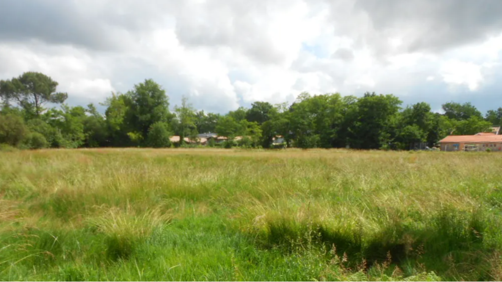 Terrain constructible de 370m2 à Tauriac
