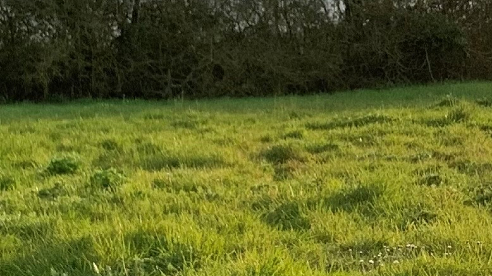 Terrain constructible de 561m2 à Galgon