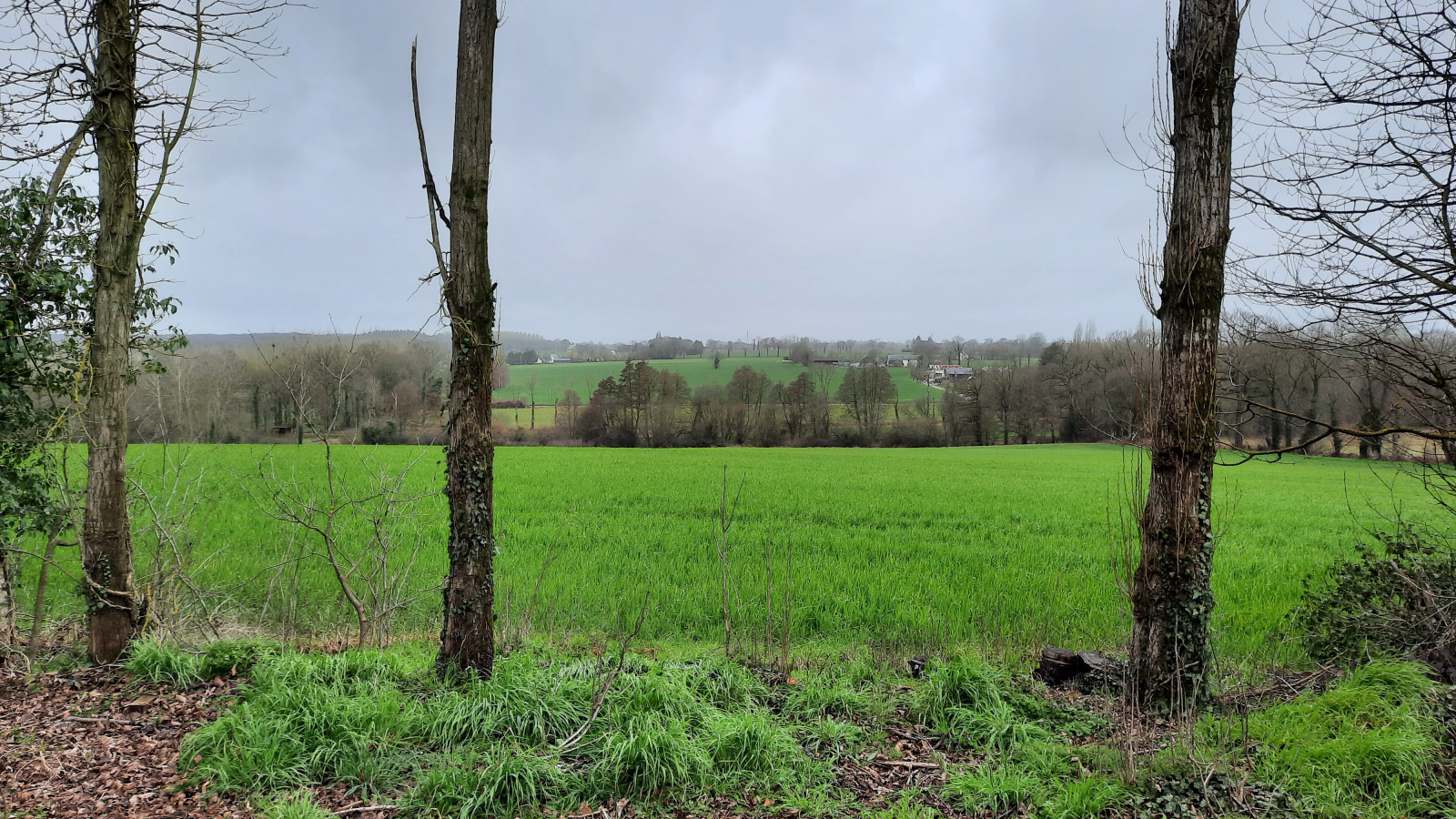 Terrain constructible de 326m2 à Melesse