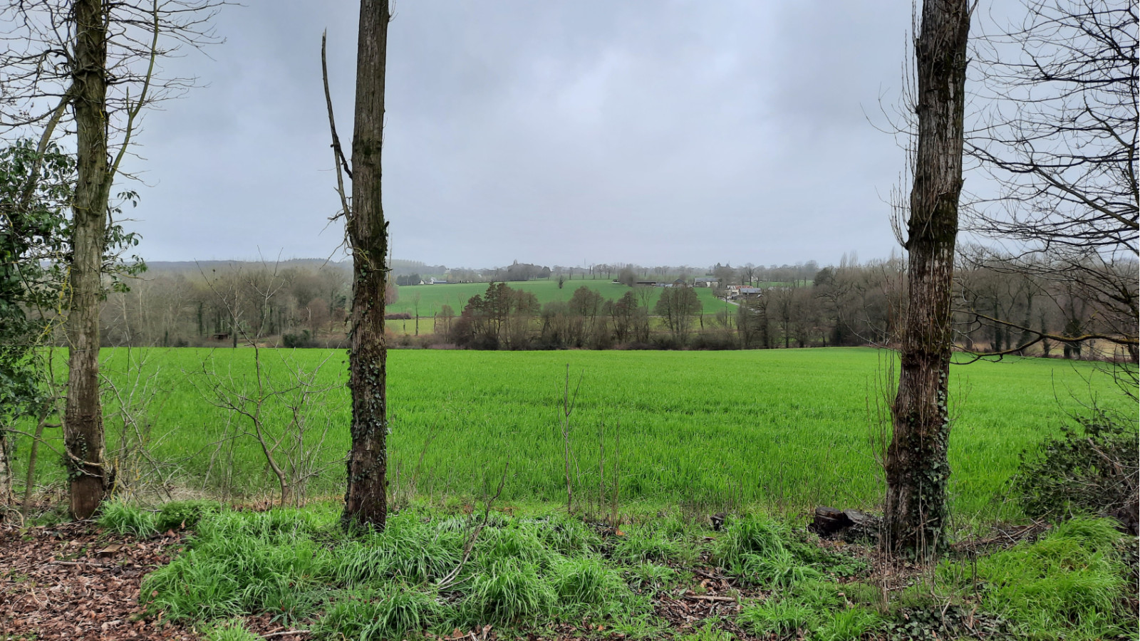 Terrain constructible de 326m2 à Melesse