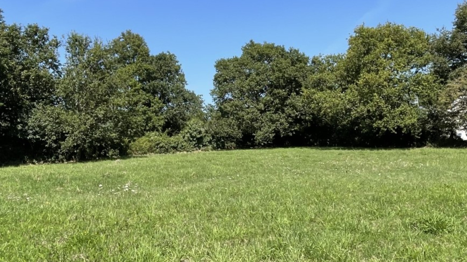 Terrain constructible de 313m2 à Riantec