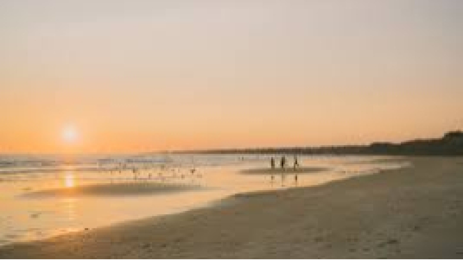 Terrain constructible de 1000m2 à Quiberon