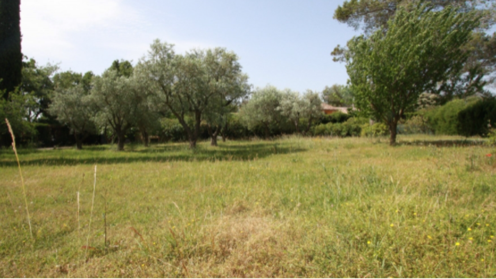 Terrain constructible de 659m2 à Landiras