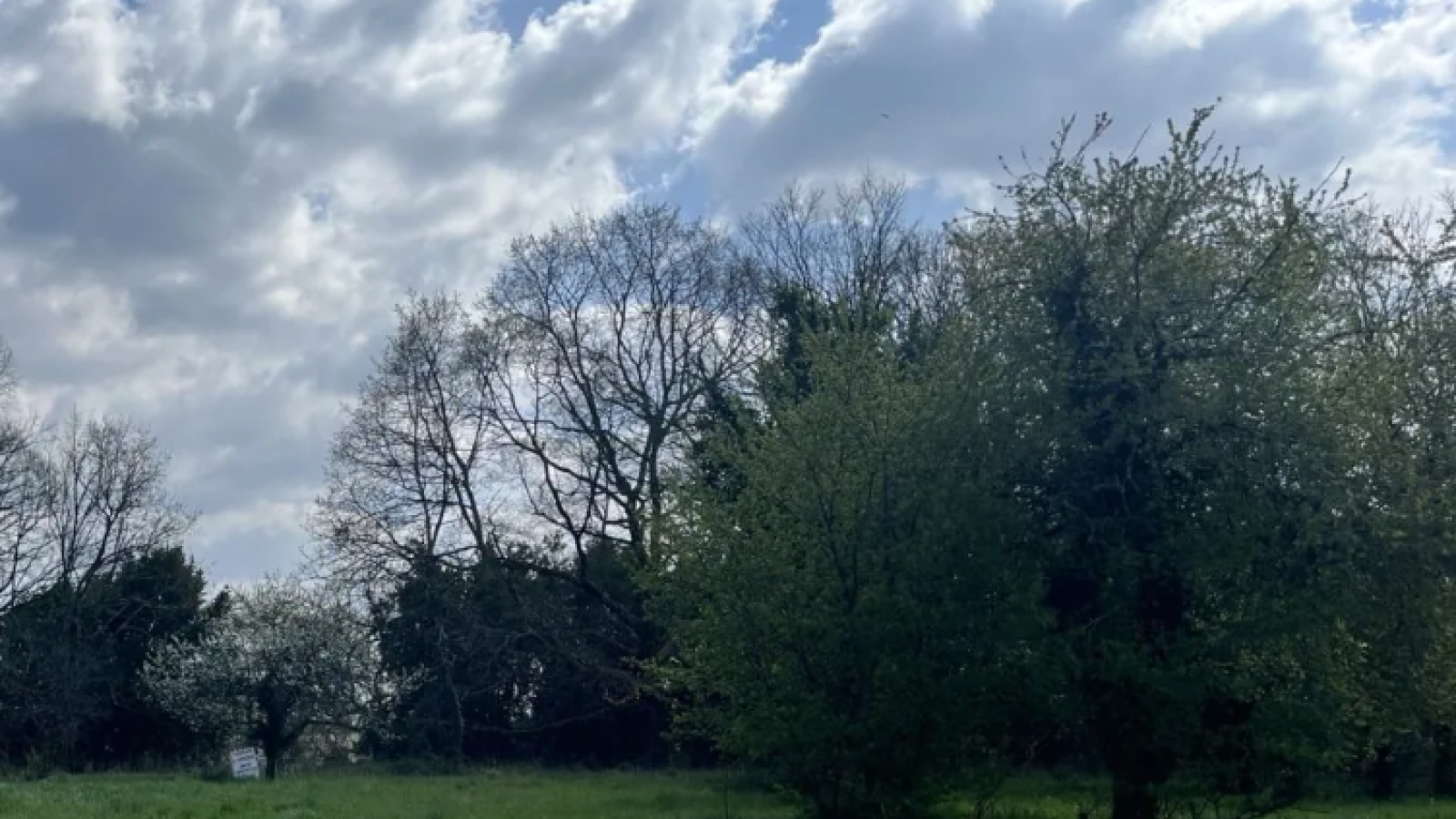 Terrain constructible de 787m2 à Prignac-et-Marcamps