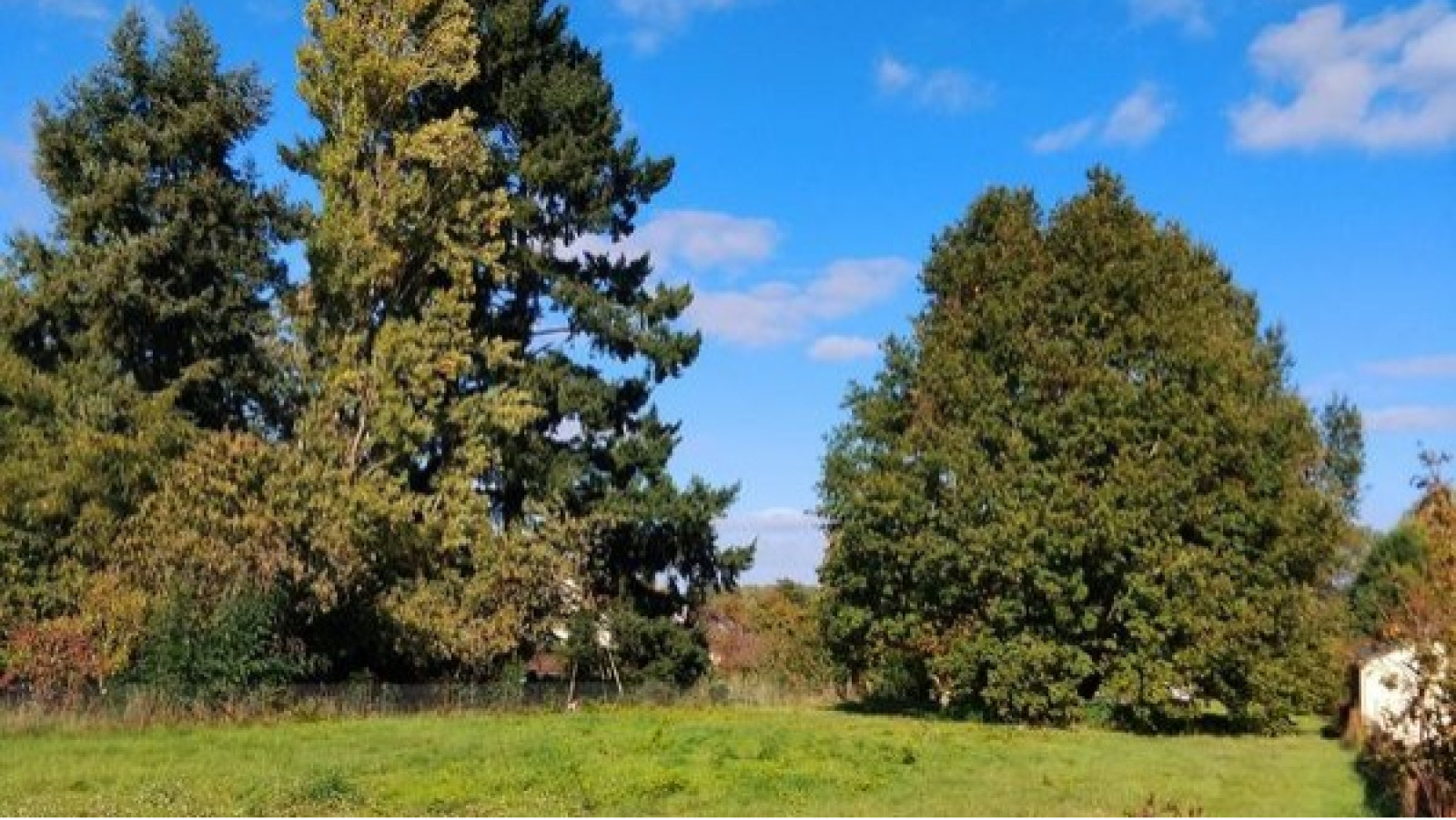 Terrain constructible de 1541m2 à Saint-Laurent-Nouan