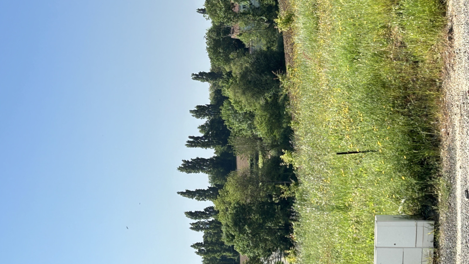 Terrain constructible de 722m2 à Falleron