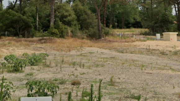 Capture d’écran 2024-11-27 150635.png