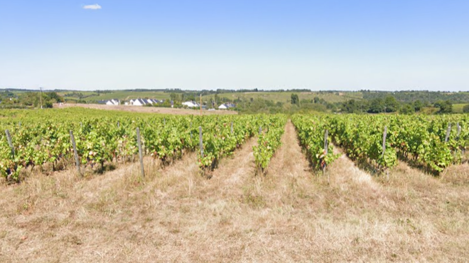 Terrain constructible de 525m2 à Bellevigne-en-Layon