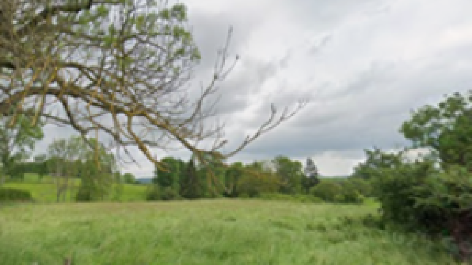 Terrain constructible de 3523m2 à Toutry