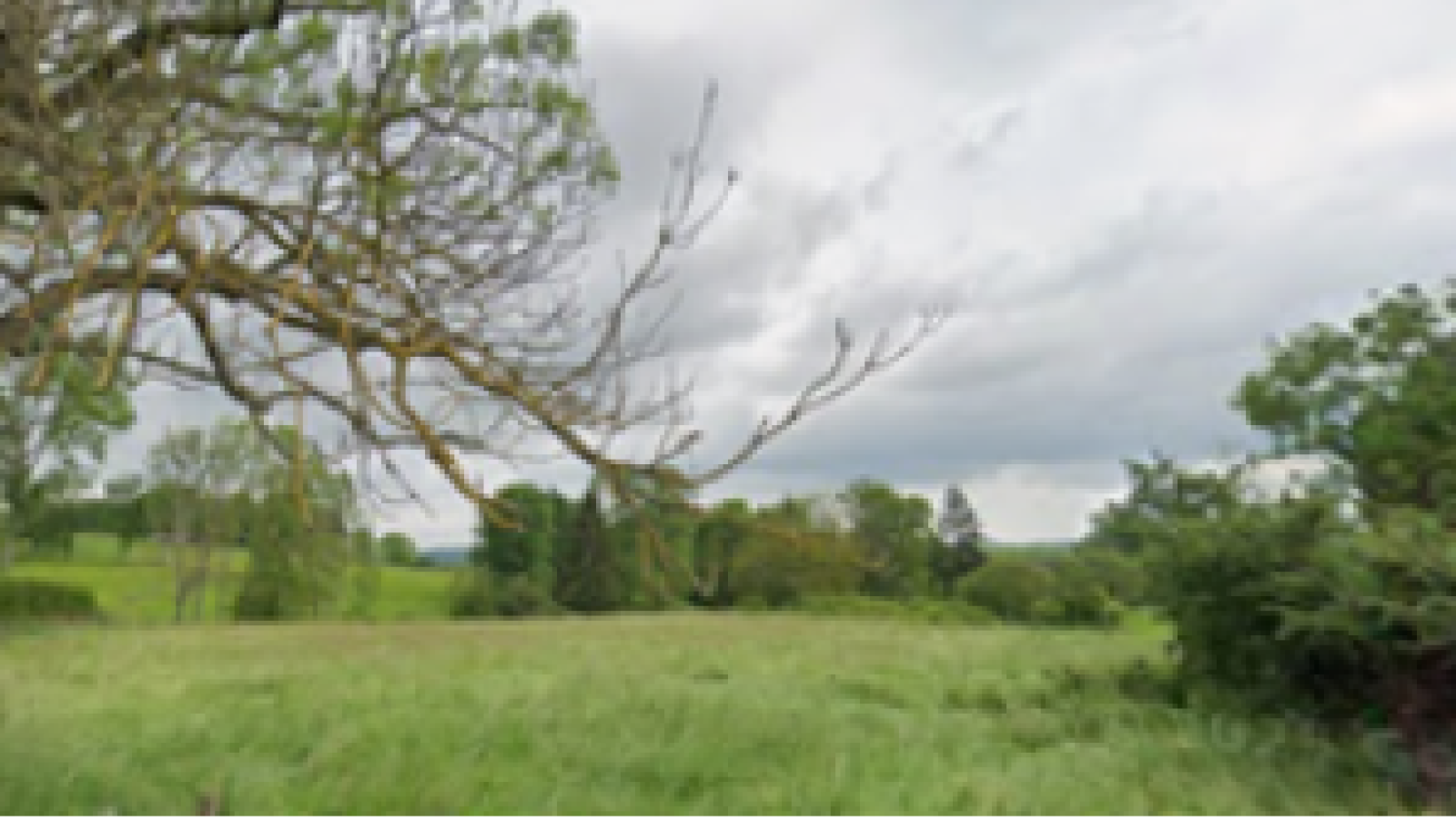 Terrain constructible de 3523m2 à Toutry