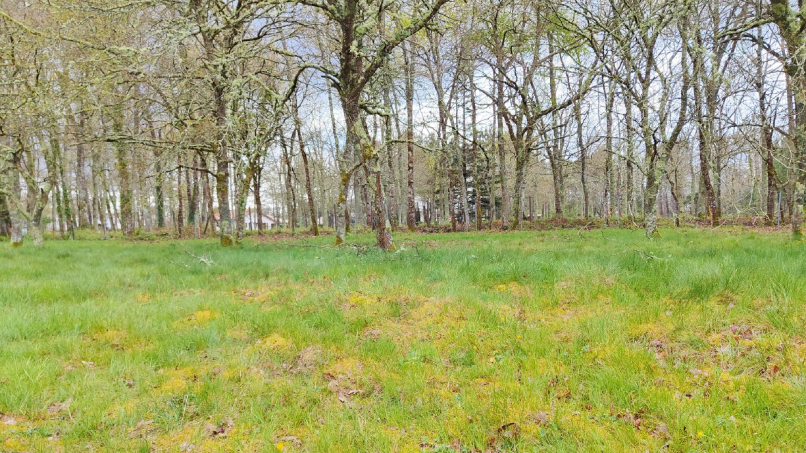 Terrain constructible de 418m2 à Saint-Jean-d'Illac