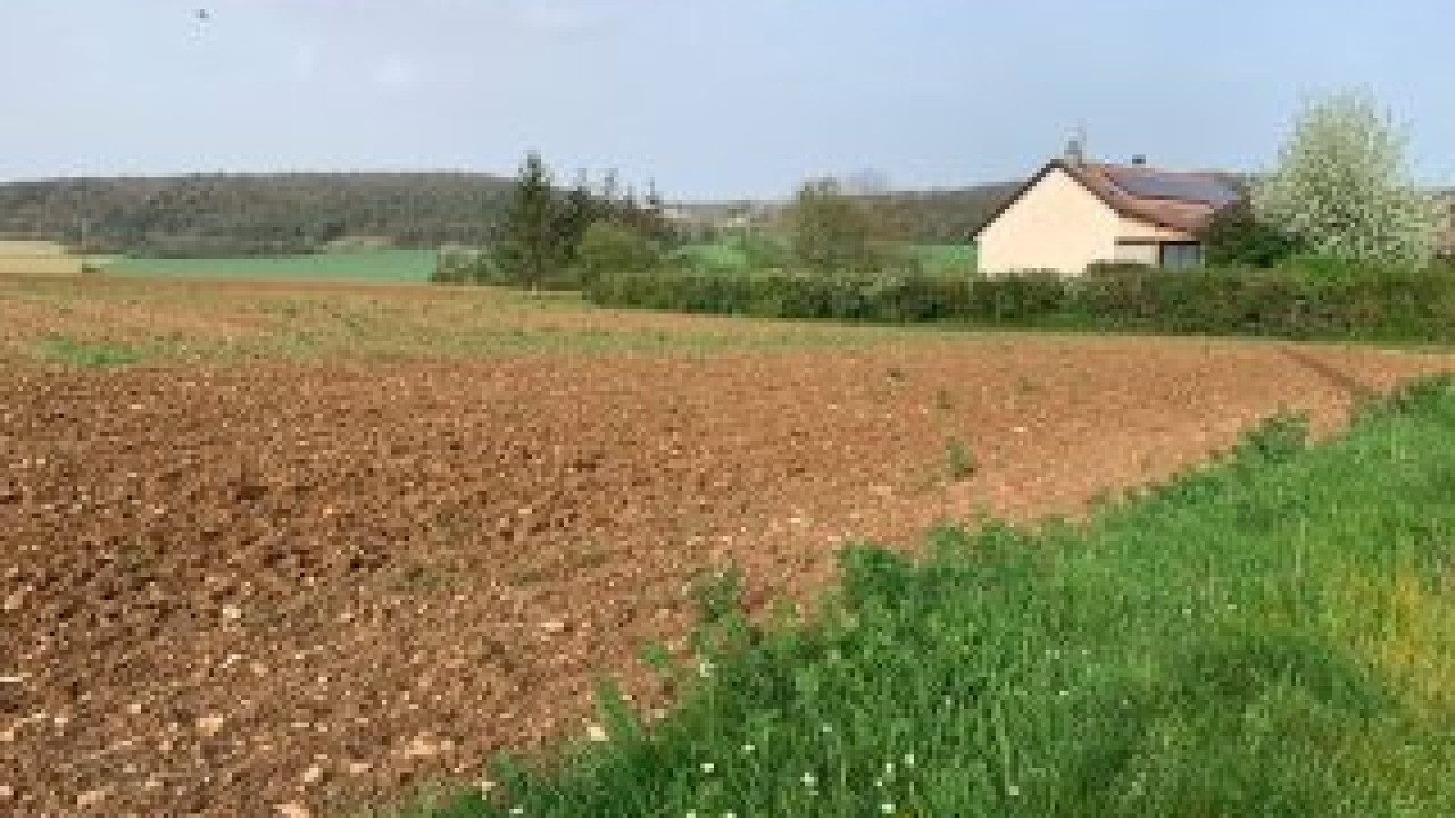 Terrain constructible de 1500m2 à Buffon