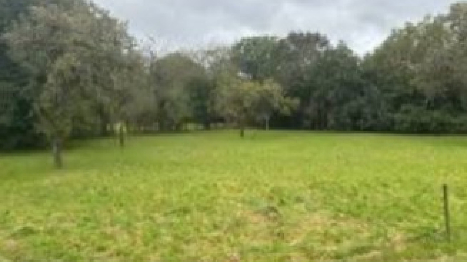 Terrain constructible de 1600m2 à Venoy