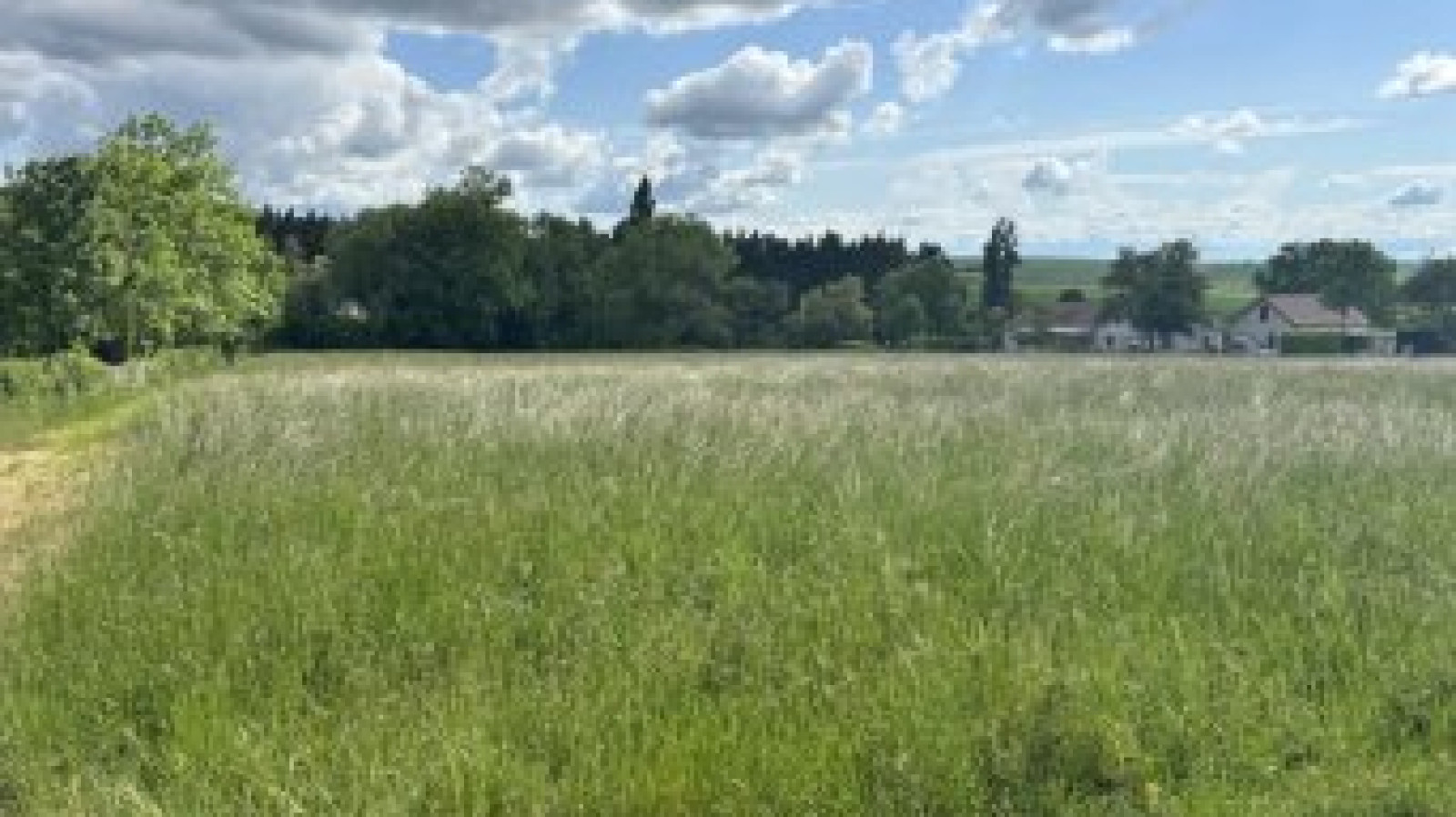 Terrain constructible de 745m2 à Appoigny