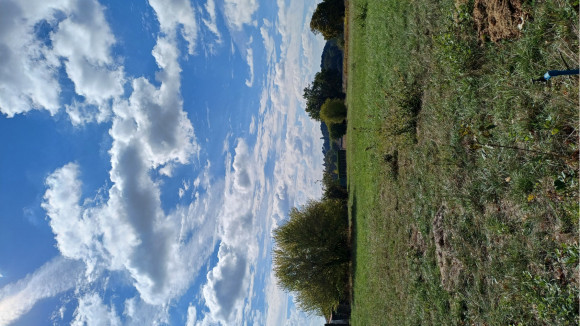 LALANDE DE FRONSAC 1.jpg