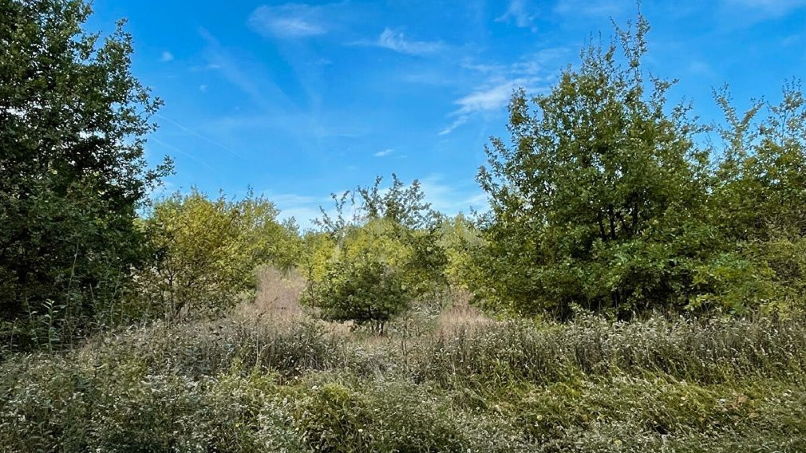 Terrain constructible de 470m2 à Lamotte-Beuvron