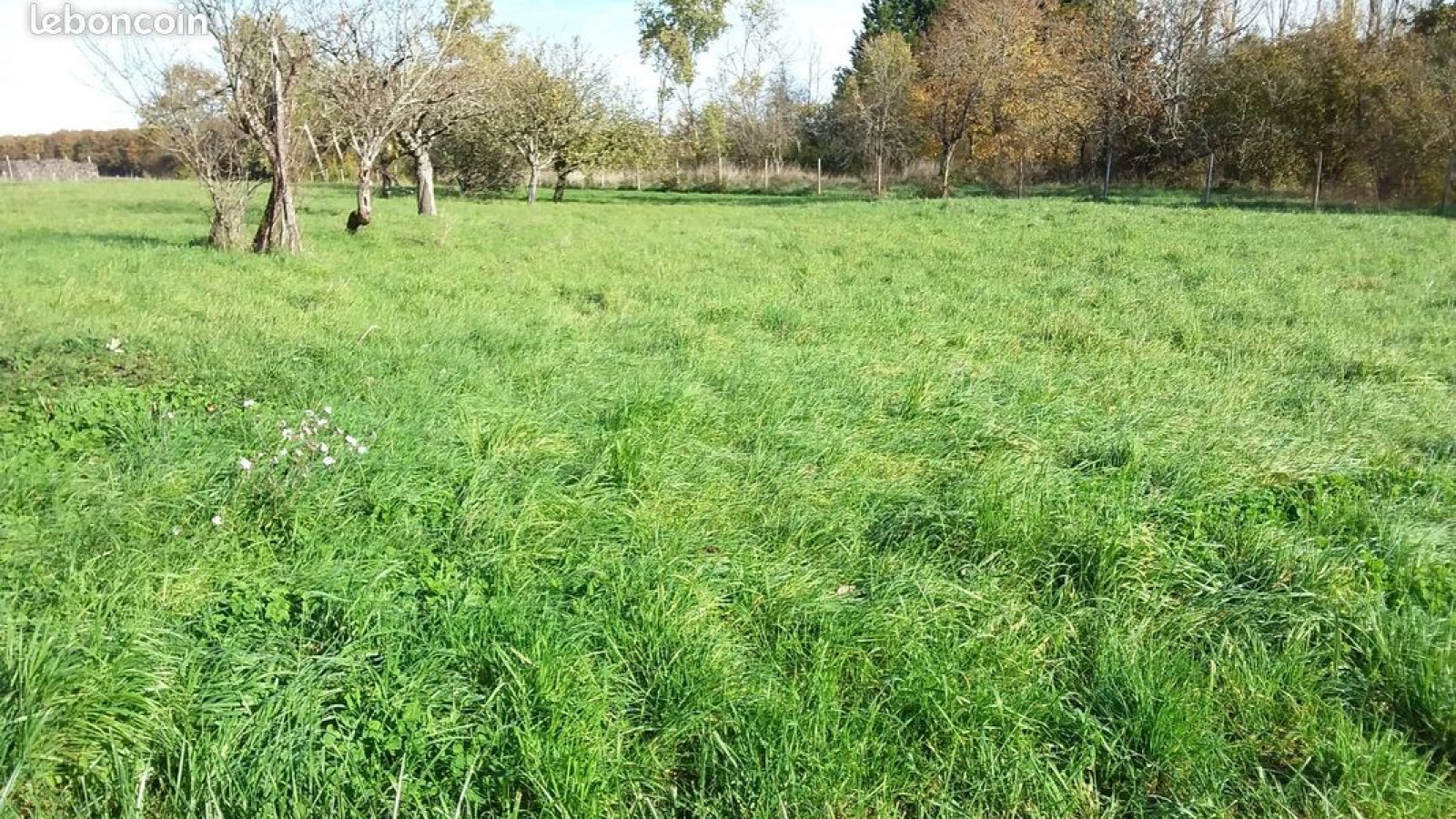 Terrain constructible de 1400m2 à Le Controis-en-Sologne