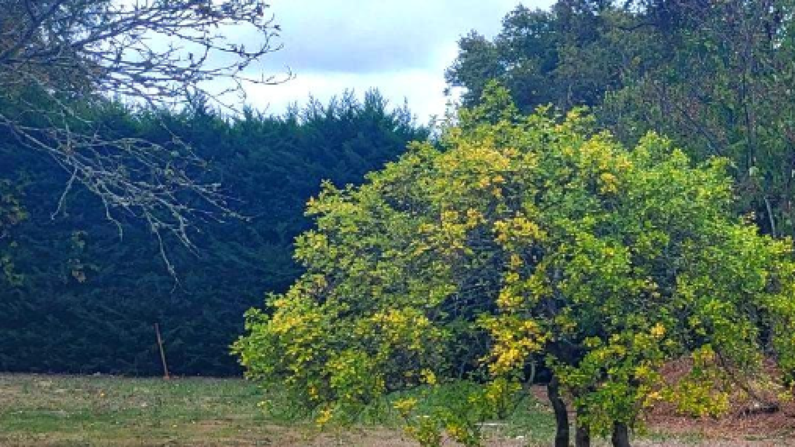 Terrain constructible de 283m2 à Floirac