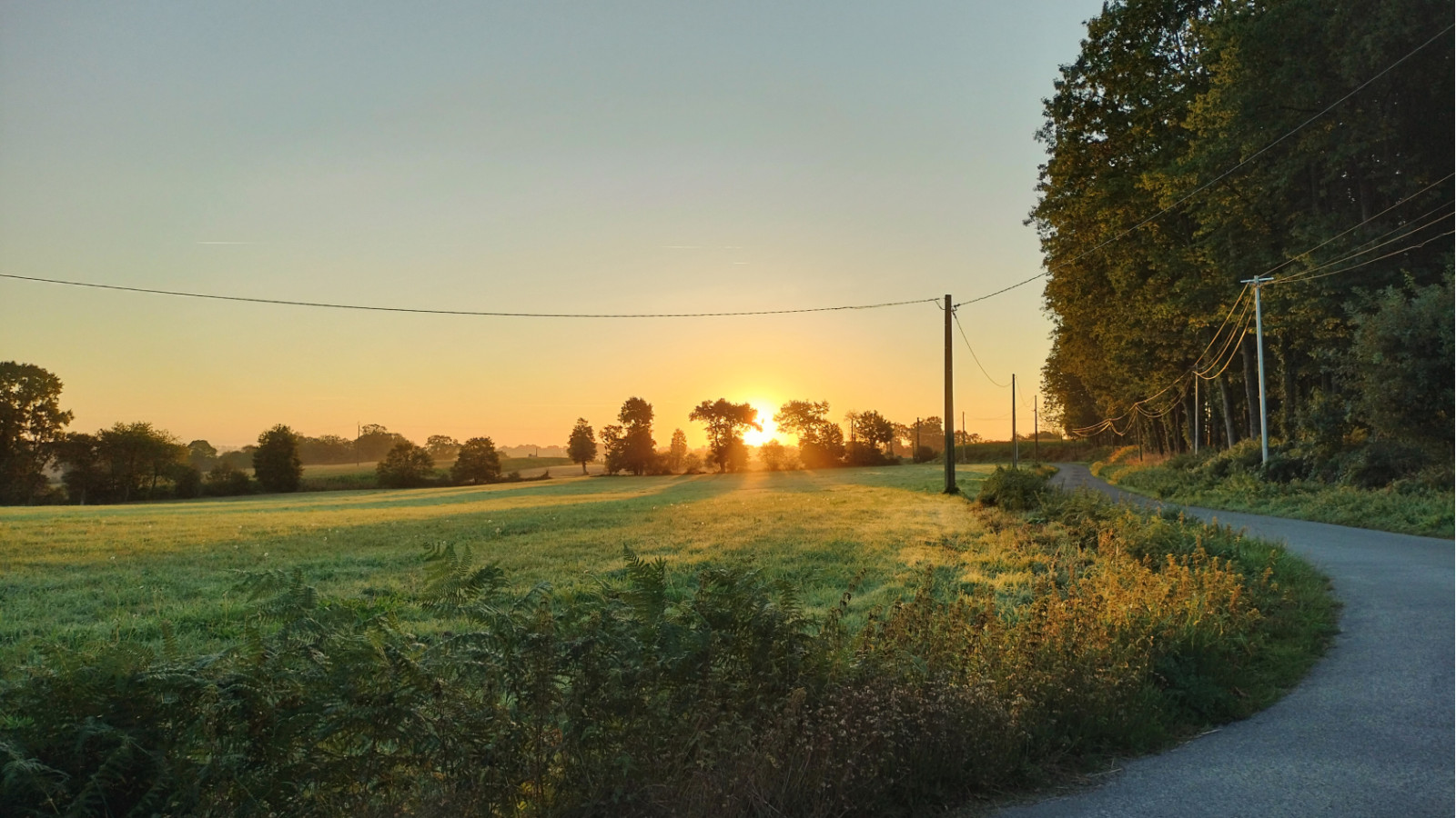 Terrain constructible de 1036m2 à Saint-Médard-sur-Ille