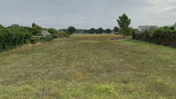 maze milon(1)(1).PNG