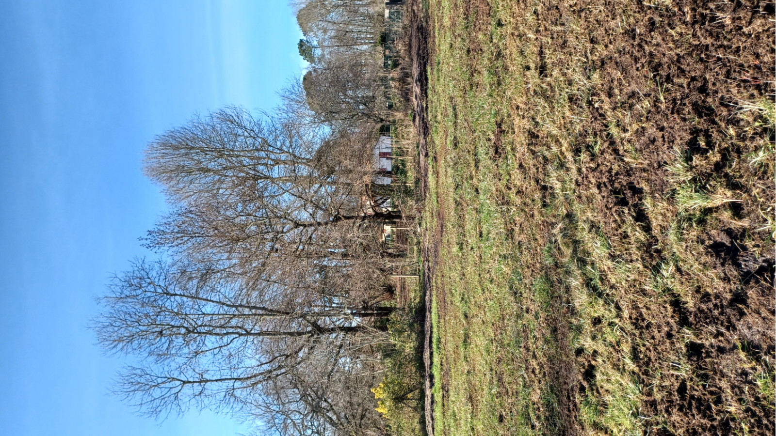 Terrain constructible de 856m2 à Balizac