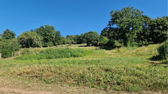 Terrain Arcenant.jpg