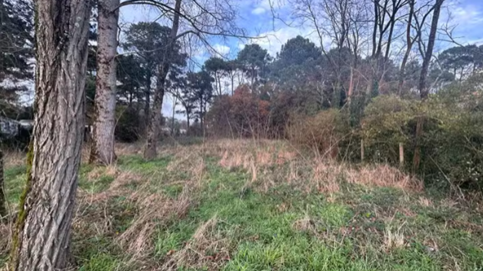 Terrain constructible de 382m2 à Froidfond