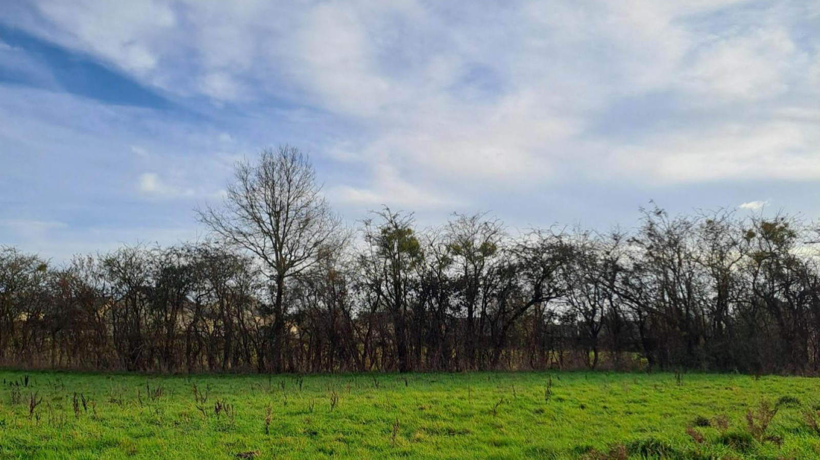 Terrain constructible de 398m2 à Val d'Erdre-Auxence