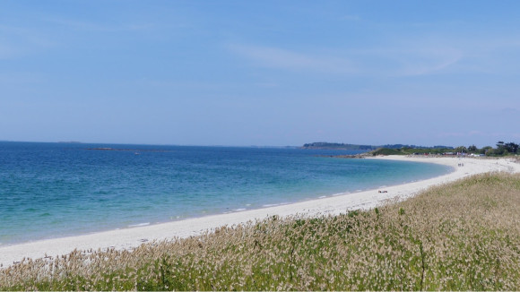 plage-de-goh-velin-saint-gildas-de-rhuys-morbihan.jpg