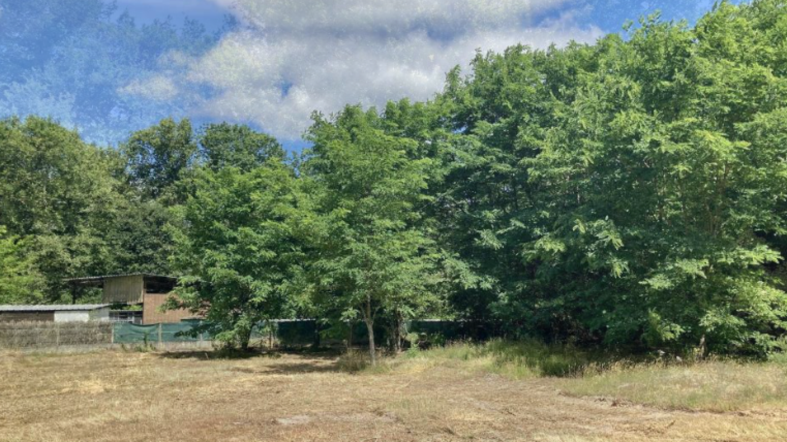 Terrain constructible de 1200m2 à Lugos