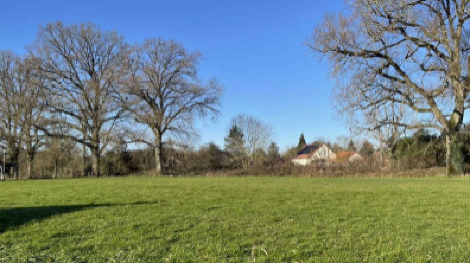 Terrain constructible de 1040m2 à Saint-Sauveur