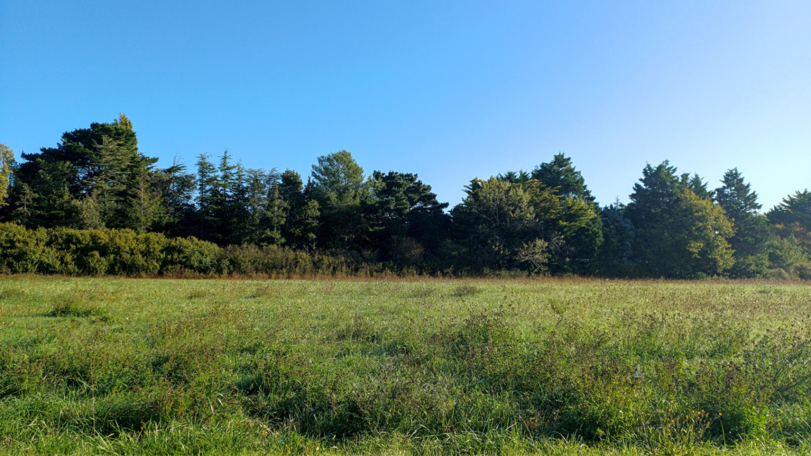 Terrain constructible de 457m2 à Sallertaine