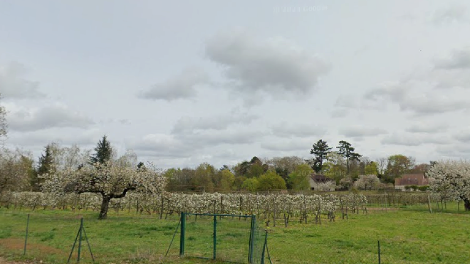 Terrain constructible de 608m2 à Olivet