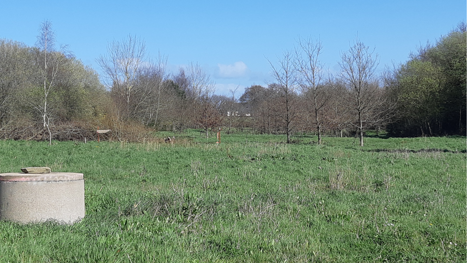 Terrain constructible de 880m2 à Saint-Gildas-des-Bois
