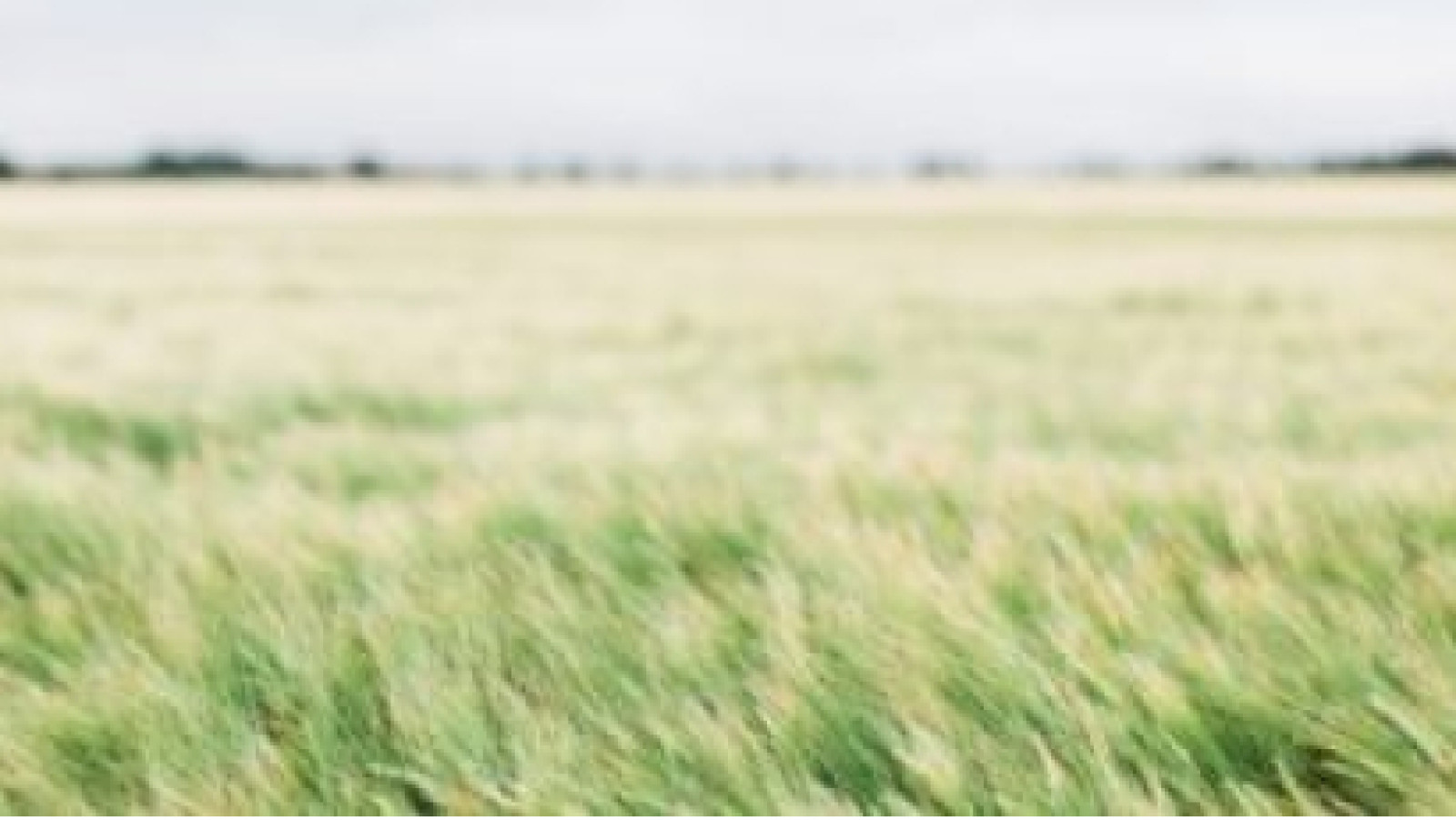 Terrain constructible de 815m2 à Nazelles-Négron