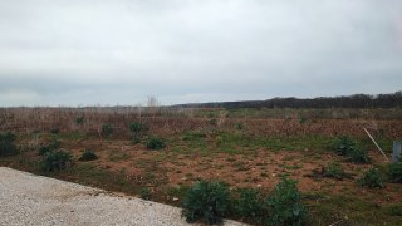 Terrain constructible de 375m2 à Arceau