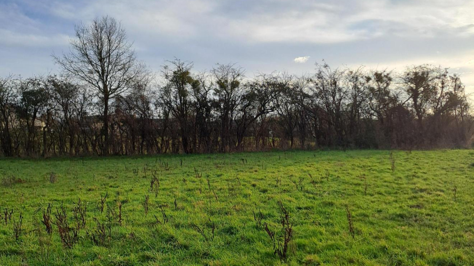 Terrain constructible de 417m2 à Val d'Erdre-Auxence